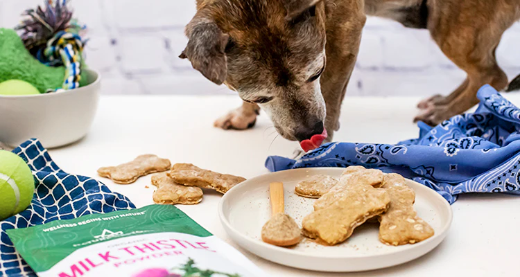Pure Silymarin Powder in Dog Pure Silymarin Powder in Dog