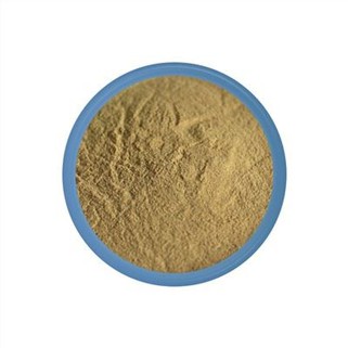 Bacillus Subtilis