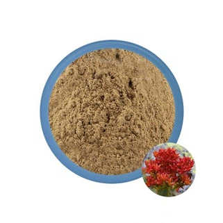 Rhodiola rosea pulber