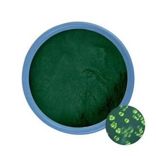 Hiina Chlorella pulbri tarnijad